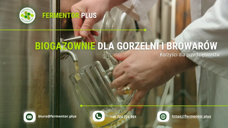 biogazownie dla gorzelni i borwarow