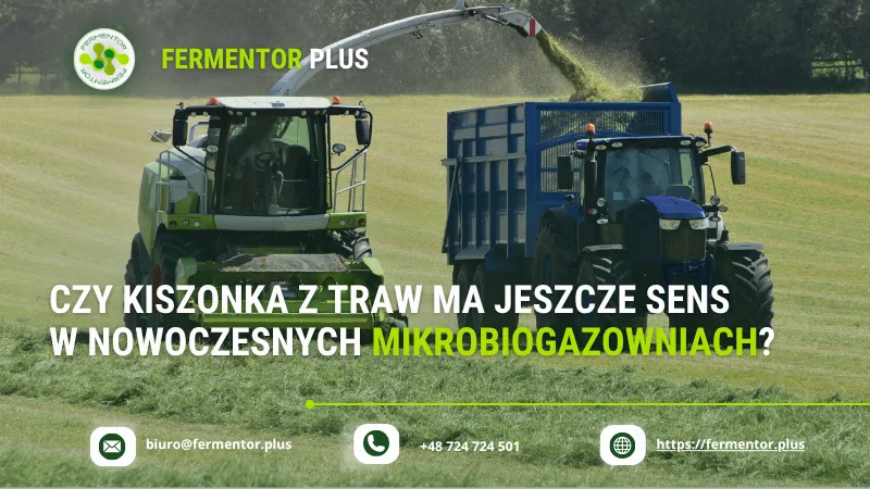 Czy kiszonka z traw ma jeszcze sens w nowoczesnych mikrobiogazowniach