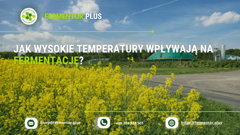 Jak wysokie temperatury wpływają na fermentację