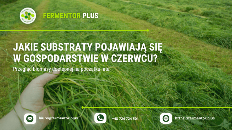 Czerwiec to okres intensywnych prac polowych, dynamicznego wzrostu roślin oraz pojawiania się nowych źródeł biomasy, które mogą znaleźć zastosowanie w mikrobiogazowniach rolniczych. Dla operatorów biogazowni jest to moment, w którym warto spojrzeć na gospodarstwo nie tylko przez pryzmat produkcji rolnej, ale również potencjalnych substratów do fermentacji. Odpowiednie wykorzystanie sezonowo dostępnej biomasy pozwala zwiększyć produkcję biogazu, poprawić ekonomikę instalacji i lepiej zagospodarować produkty uboczne powstające w gospodarstwie. Dlaczego czerwiec jest ważnym miesiącem dla biogazowni? Po okresie zimowym i wiosennym w gospodarstwach zaczynają pojawiać się nowe źródła biomasy. To czas pierwszych pokosów traw, porządkowania pól, selekcji pasz oraz intensywnej produkcji zwierzęcej. W praktyce oznacza to większą dostępność substratów, które mogą uzupełnić podstawowy wsad oparty na gnojowicy, oborniku czy kiszonkach. Kluczem jest jednak odpowiednie ich wykorzystanie i zachowanie stabilności procesu fermentacji. Gnojowica i obornik – fundament przez cały rok Niezależnie od pory roku podstawą funkcjonowania większości mikrobiogazowni pozostają: gnojowica bydlęca, gnojowica świńska, obornik bydła, obornik trzody chlewnej, pomiot kurzy. Substraty te zapewniają stabilność procesu, dostarczają niezbędnych składników odżywczych dla bakterii metanowych i stanowią doskonałą bazę do współfermentacji z innymi materiałami organicznymi. Świeża biomasa z pierwszego pokosu W czerwcu w wielu gospodarstwach rozpoczynają się pierwsze pokosy traw. Do fermentacji można wykorzystać: nadwyżki zielonki, trawy niewykorzystane na paszę, odpady powstałe podczas zbioru, materiał o obniżonej jakości paszowej. Świeża biomasa charakteryzuje się wysoką zawartością łatwo biodegradowalnych związków organicznych, co może pozytywnie wpływać na produkcję biogazu. Należy jednak pamiętać, że zbyt duży udział świeżej masy może prowadzić do zakwaszenia fermentora. Resztki paszowe i kiszonki W wielu gospodarstwach po okresie zimowym pozostają: niewykorzystane kiszonki, pasze o obniżonej jakości, resztki żywieniowe z gospodarstw mlecznych. Materiały te często nie nadają się już do żywienia zwierząt, ale nadal posiadają wysoki potencjał energetyczny. Z punktu widzenia biogazowni są bardzo wartościowym substratem. Odpady warzywne i ogrodnicze W gospodarstwach prowadzących produkcję warzywniczą lub ogrodniczą pojawiają się pierwsze odpady związane z: sortowaniem warzyw, pielęgnacją upraw, usuwaniem uszkodzonych roślin, przygotowaniem plonów do sprzedaży. Substraty te są zwykle łatwo fermentowalne, dlatego powinny być dozowane stopniowo i w połączeniu z materiałami buforującymi. Międzyplony i biomasa zielona Niektóre gospodarstwa wykorzystują międzyplony lub specjalnie uprawianą biomasę przeznaczoną do fermentacji. Do najczęściej spotykanych należą: mieszanki traw, rośliny motylkowe, żyto zielonkowe, mieszanki poplonowe. Ich wykorzystanie wymaga jednak wcześniejszego planowania i odpowiedniej kalkulacji ekonomicznej. Produkty uboczne z przetwórstwa rolno-spożywczego W czerwcu zwiększa się również aktywność lokalnych zakładów przetwórczych. Potencjalnymi substratami mogą być: odpady owocowe, odpady warzywne, wytłoki, wywar gorzelniany, pozostałości z przetwórstwa mleczarskiego. Współpraca z lokalnymi przedsiębiorstwami często pozwala pozyskać dodatkowe źródła biomasy. Jak bezpiecznie wprowadzać nowe substraty? Największym błędem jest gwałtowne zwiększanie udziału nowych materiałów w mieszance fermentacyjnej. Każdy nowy substrat powinien być: ✔ analizowany pod kątem składu, ✔ wprowadzany stopniowo, ✔ monitorowany pod względem wpływu na pH i produkcję biogazu. Bakterie metanowe najlepiej pracują w stabilnych warunkach. Czerwiec to dobry moment na planowanie sezonu Początek lata pozwala ocenić, jakie ilości biomasy będą dostępne w kolejnych miesiącach. Dzięki temu można: przygotować harmonogram dostaw substratów, zoptymalizować koszty transportu, zwiększyć stabilność produkcji biogazu, lepiej wykorzystać lokalne zasoby. W przypadku mikrobiogazowni do 50 kW odpowiednie planowanie substratów często decyduje o efektywności całej instalacji. Podsumowanie Czerwiec przynosi wiele nowych możliwości związanych z pozyskiwaniem biomasy do produkcji biogazu. Oprócz tradycyjnych substratów, takich jak gnojowica czy obornik, pojawiają się świeże trawy, resztki paszowe, odpady warzywne i produkty uboczne z przetwórstwa. Najważniejsze jest jednak nie samo pozyskanie biomasy, lecz jej odpowiednie wykorzystanie i zachowanie stabilności procesu fermentacji. To właśnie dobrze dobrana mieszanka substratów pozwala maksymalnie wykorzystać potencjał mikrobiogazowni przez cały sezon.