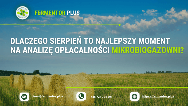 Dlaczego sierpień to najlepszy moment na analizę opłacalności mikrobiogazowni