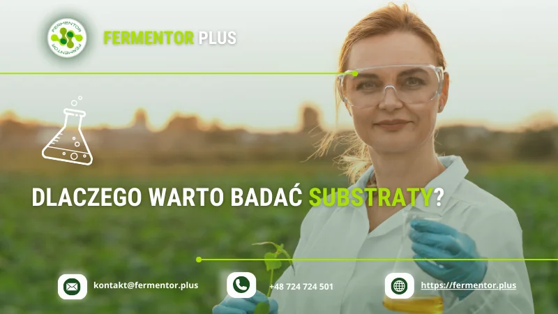 dlaczego warto badac substraty