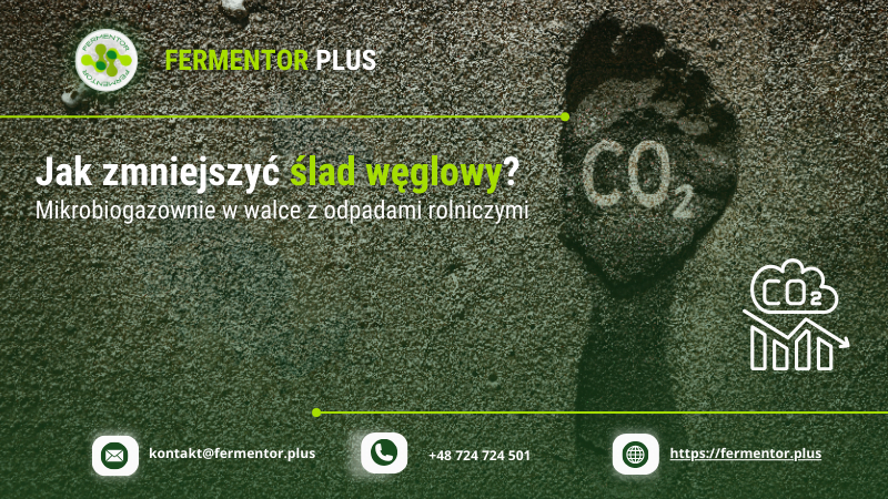 Jak zmniejszyc slad weglowy?