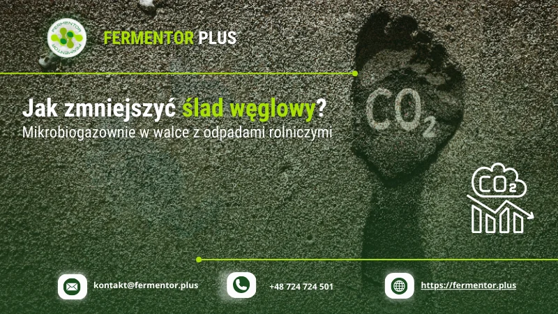Jak zmniejszyc slad weglowy?