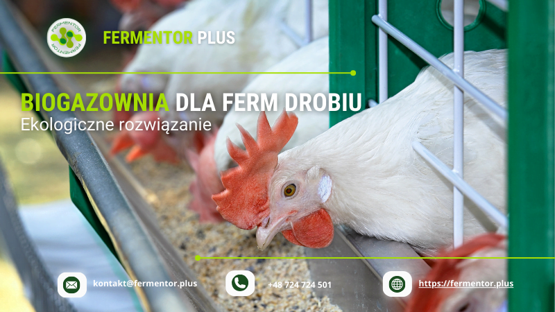 Biogazownia dla ferm drobiu