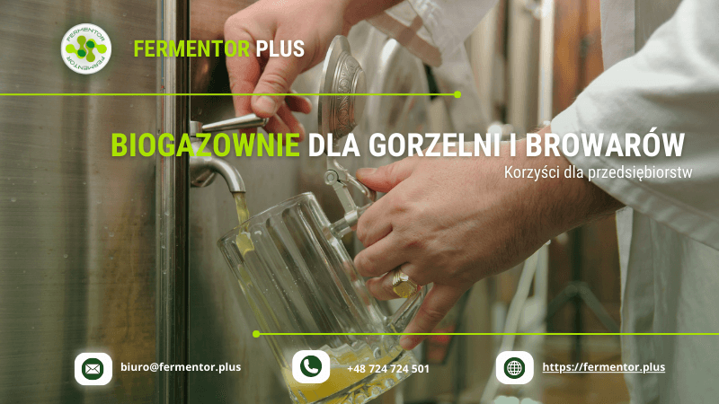 biogazownie dla gorzelni i borwarow