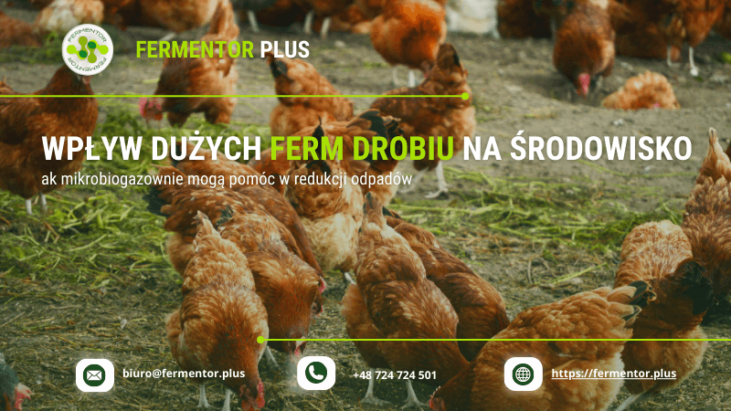 wplyw ferm drobiu na srtodowisko