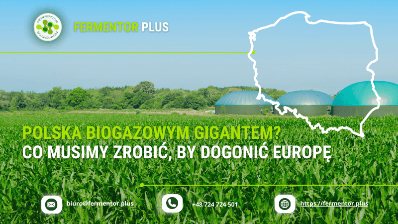 polska biogazowym gigantem