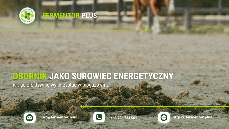 Obornik_jako_surowiec_energetyczny