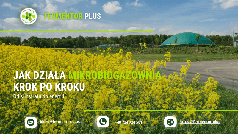 Jak działa mikrobiogazownia krok po kroku – od substratu do energii