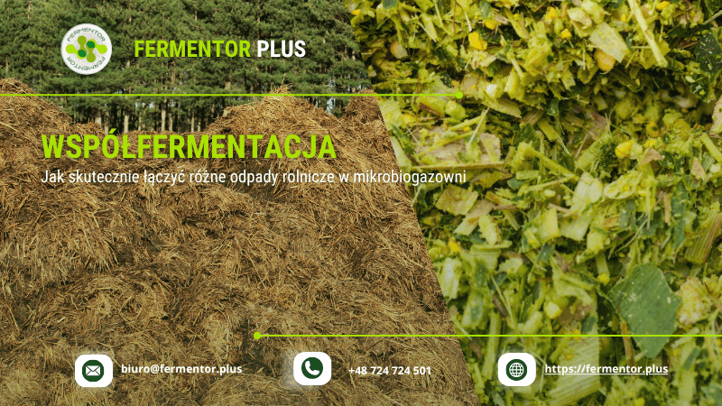 wspolfermentacja biogaz
