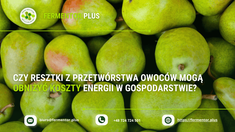 Czy resztki z przetwórstwa owoców mogą obniżyć koszty energii w gospodarstwie?