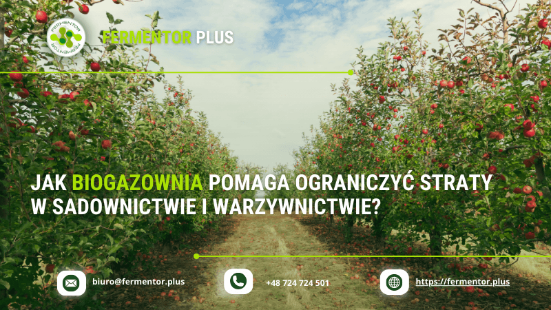 Jak biogazownia pomaga ograniczyc straty w sadownictwie i warzywnictwie