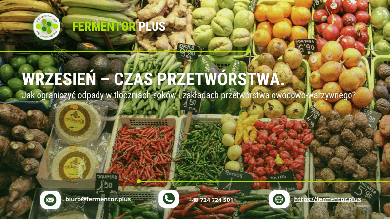 Jak ograniczyć odpady w tłoczniach soków i zakładach przetwórstwa owocowo-warzywnego