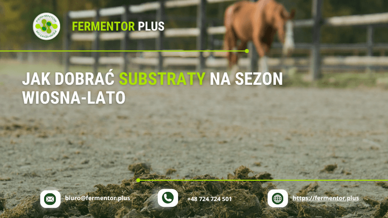 Jak dobrać substraty na sezon wiosna–lato