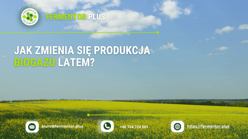 Jak zmienia się produkcja biogazu latem