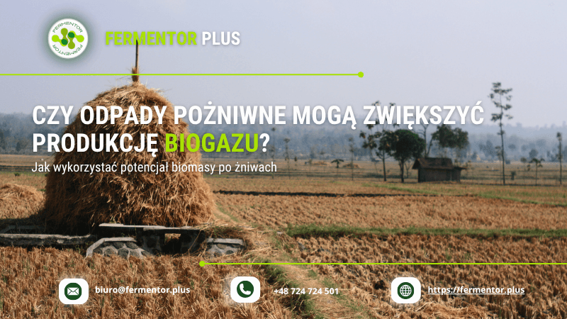 Czy odpady pożniwne mogą zwiększyć produkcję biogazu