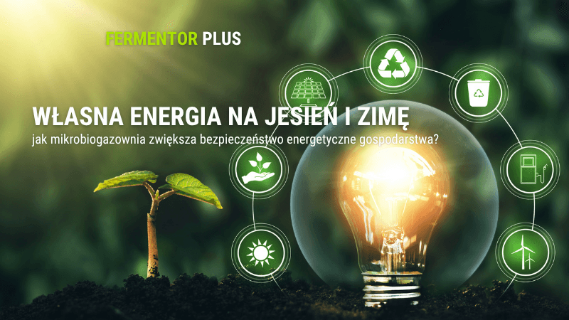 Własna energia na jesień i zimę